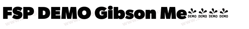 FSP DEMO Gibson Me字体转换 FSP DEMO Gibson Me字体转换